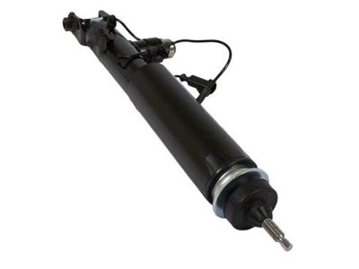 Ford DE9Z-18125-J Shock Absorber, Driver Side