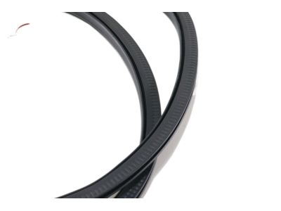 Ford GD9Z-5420708-A Weatherstrip On Body, Front Inner