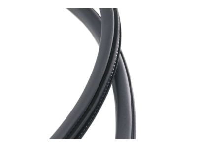 Ford GD9Z-5420708-A Weatherstrip On Body, Front Inner