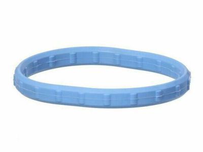 Ford 1L2Z-9461-CA Intake Manifold Gasket