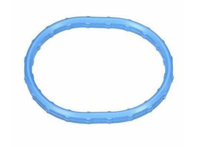 Ford 1L2Z-9461-CA Intake Manifold Gasket