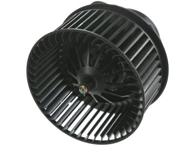 Ford H1FZ-19805-A Blower Motor, Front