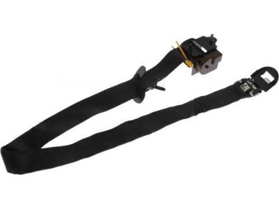 Ford BB5Z-78611B69-EA Seat Belt Assembly, Driver Side BB5Z-78611B69-EA Ford Seat Belt Assembly, Driver Side Product Photo 1 of 3