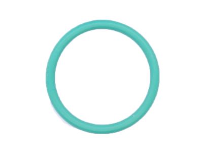 Ford E9TZ-6749-A Plug Inner Seal
