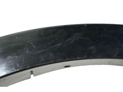 Ford 6L2Z-16038-CAPTM Wheel Opening Molding, Front Passenger Side