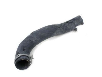Ford 3C3Z-8260-AC Hose Assembly, Upper