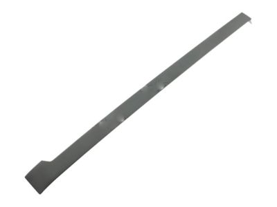 Ford DT1Z-9925016-F Track Assy - Sliding Door - Lower