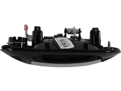 Ford 9L7Z-7822405-AM Handle Assembly - Door - Outer, Driver Side