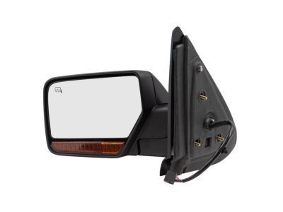 Lincoln BL1Z-17683-CAPTM Mirror