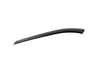 Ford JL1Z-7850462-AD Moulding, Passenger Side