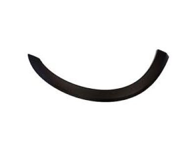 Ford 3C3Z-16038-BAPTM Wheel Opening Molding, Passenger Side