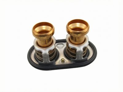 BC3Z-8575-D Ford Thermostat Assembly Product Photo 1 of 4