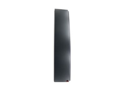 Ford 5L3Z-1620554-AAA Upper Molding, Front Passenger Side