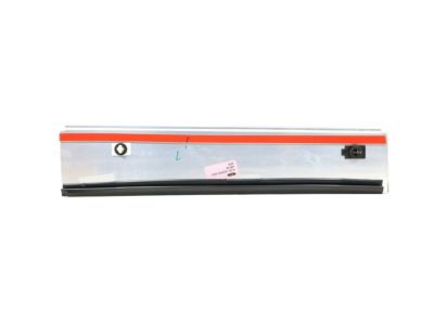Ford 5L3Z-1620554-AAA Upper Molding, Front Passenger Side