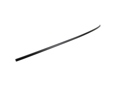 Ford CJ5Z-7850463-BA Moulding, Driver Side