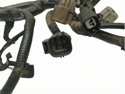 JL3Z-14405-C Ford Wiring Assembly - Rear Lamps Product Photo 4 of 4