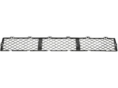 Ford 8S4Z-17K945-AA Lower Grille, Front
