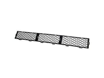 Ford 8S4Z-17K945-AA Lower Grille, Front