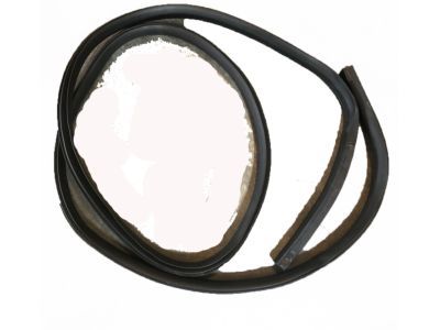 2014 Ford F-150 Door Seal - BL3Z-16253A11-A