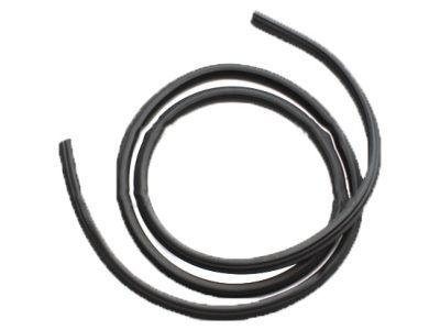 Ford BL3Z-16253A11-A Weatherstrip On Body, Rear Driver Side