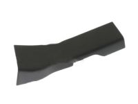 Ford BE8Z-5413229-AB Rear Sill Plate, Charcoal, Driver Side