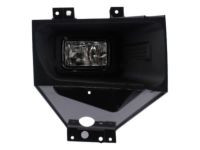 Ford HC3Z-15200-A Fog Lamp, Front Passenger Side
