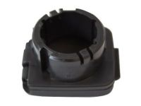 Ford BB5Z-19A487-AB Socket Cap, Charcoal, Front Driver Side