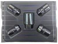 Ford DM5Z-1A043-A Lock Set