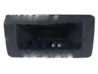Ford AL8Z-13508-APTM Pull Handle, Rear