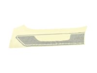 Ford DR3Z-6320000-AAR Quarter Stripe, Gray, Passenger Side