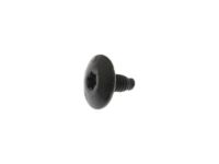 Ford -W713696-S900 Window Molding Bolt, Front