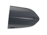 Ford DS7Z-54218A15-BEPTM Bezel, Front Driver Side