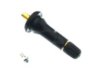 Ford F42Z-1700-A Valve Stem, Black