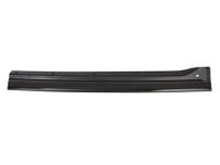 Ford F81Z-26247A50-AA Door Weatherstrip, Rear Outer Passenger Side