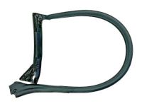 Ford 4R3Z-6320708-AA Weatherstrip Assembly - Door Opening, Passenger Side