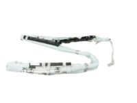 Ford FT4Z-58042D95-B Inflator Curtain, Driver Side