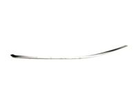 Ford AG1Z-5420550-B Upper Molding, Front Passenger Side