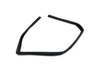 Ford F-150 Window Run - 5L3Z-1521536-AA Run Channel, Passenger Side