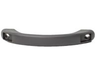 Ford 4L5Z-1031406-AAB Grip Handle