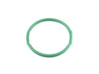 Ford XW4Z-9276-AB Fuel Sender Unit Gasket, Passenger Side