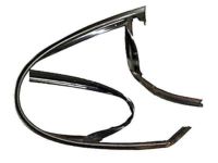 Ford DS7Z-5421596-B Run Channel, Black, Front Passenger Side