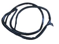 Ford 1L2Z-7825324-AA Weatherstrip, Passenger Side