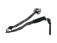 Ford HC3Z-25611B08-AA Outer Belt, Earth Gray, Front Passenger Side