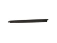 Ford 9L3Z-84291A40-AC Upper Molding, Carbon Black, Rear Passenger Side