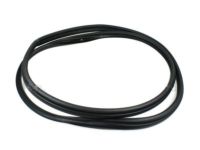 Ford 9G1Z-5420708-B Weatherstrip On Body, Front