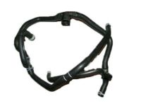 Ford DV6Z-8075-B Reservoir Hose, Front