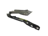 Ford FA1Z-16796-A Hinge, Front Passenger Side