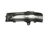 Ford FT4Z-13B374-A Signal Lamp, Driver Side