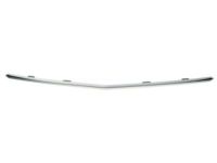 Ford BA1Z-17E810-A Center Molding, Front