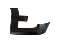 Ford FL3Z-17C755-BPTM Trim Molding, Luxurious Chrome, Front Driver Side